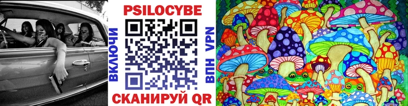 Галлюциногенные грибы MAGIC MUSHROOMS  Тогучин 