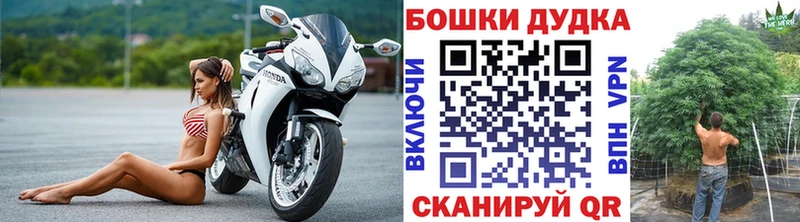 МЕГА tor  Тогучин  Каннабис сатива 